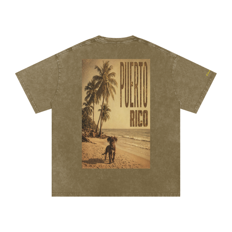 Puerto Rico Vintage Beach Tee, Oversized Cotton T-Shirt
